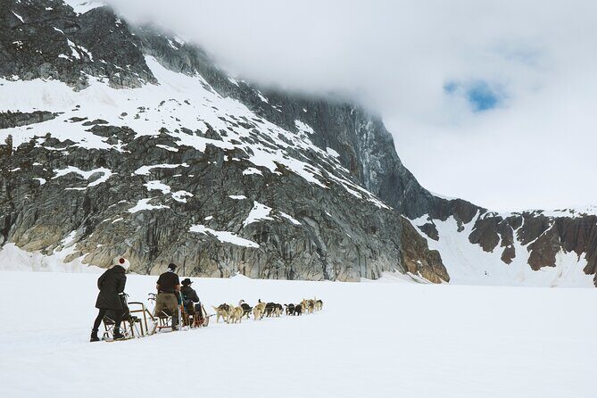 Juneau Shore Excursions: Juneau Helicopter Tour & Dogsledding Experience - Who Is This Tour Best For?