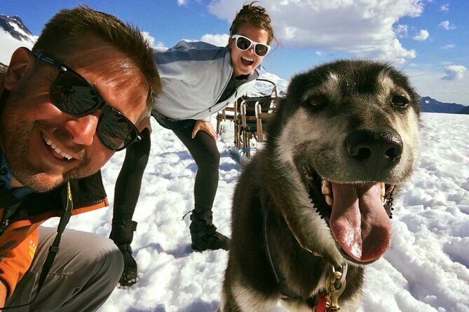 Juneau Shore Excursions: Juneau Helicopter Tour & Dogsledding Experience - The Sum Up