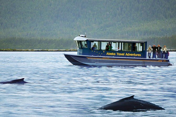 Juneau Whale Watching Adventure - Frequently Asked Questions
