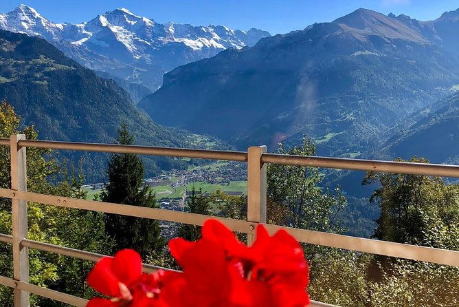 jungfraujoch-private-tour