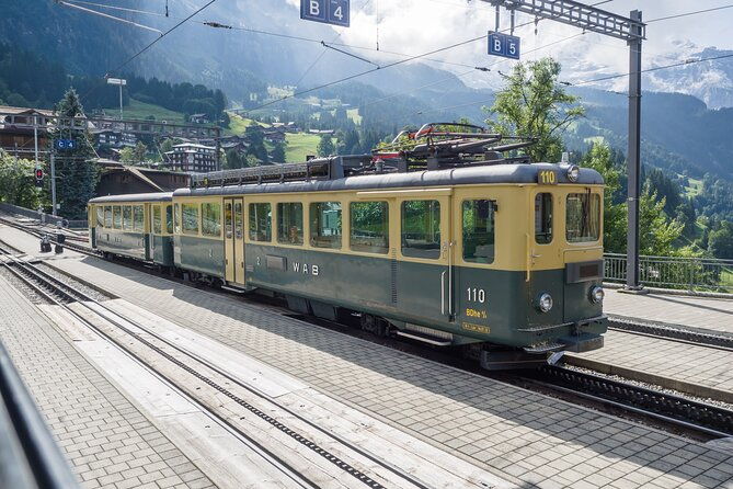 jungfraujoch-top-of-europe-and-region-private-tour-from-basel