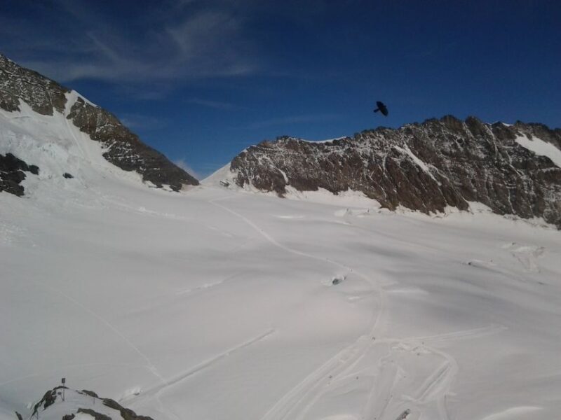 Jungfraujoch Top of Europe Private Day Trip from Basel - The Sum Up