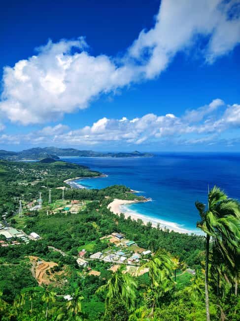 Jungle Adventure Hike:Climb, Waterfall, Discover Seychelles! - Who Will Love This Tour?