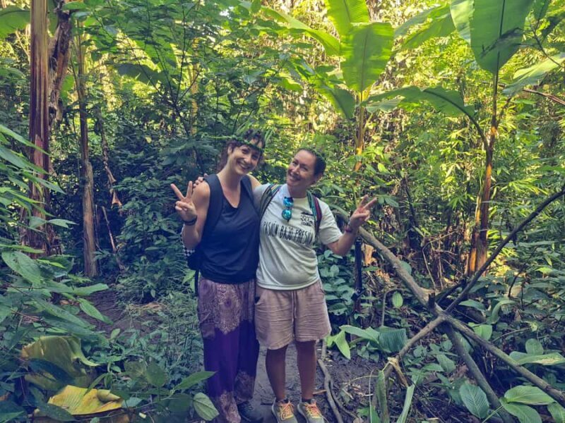 Jungle Adventure  Hiking & Bamboo Cooking (Small Group) - A Deep Dive into the Jungle Adventure Experience