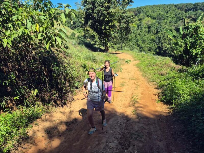 Jungle Adventure  Hiking & Bamboo Cooking (Small Group) - Possible Drawbacks and Considerations
