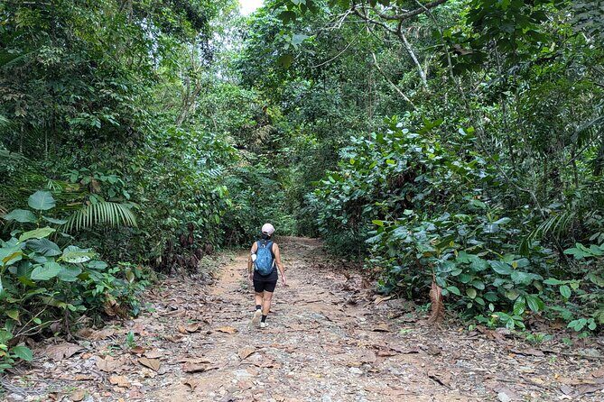 Jungle and Heritage Walk in Singapore - Key Points