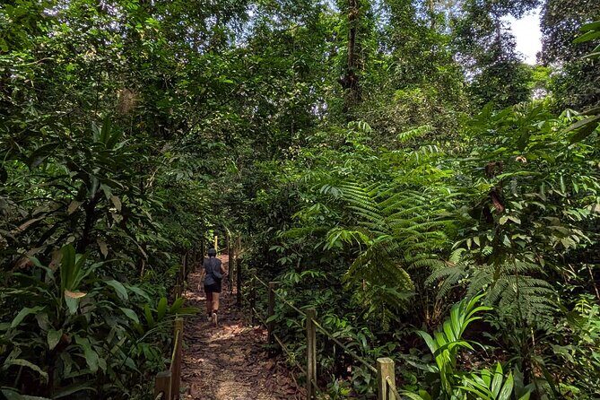 Jungle and Heritage Walk in Singapore - FAQ