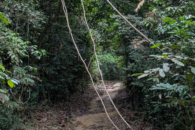 Jungle and Heritage Walk in Singapore - Final Thoughts