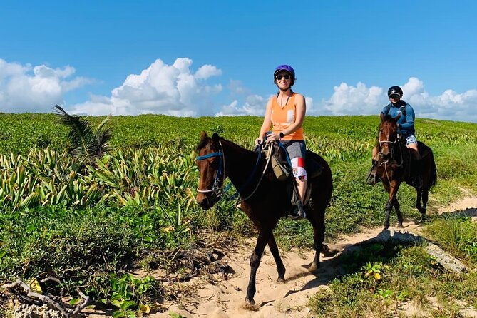 jungle-beach-and-horseback-riding-adventure