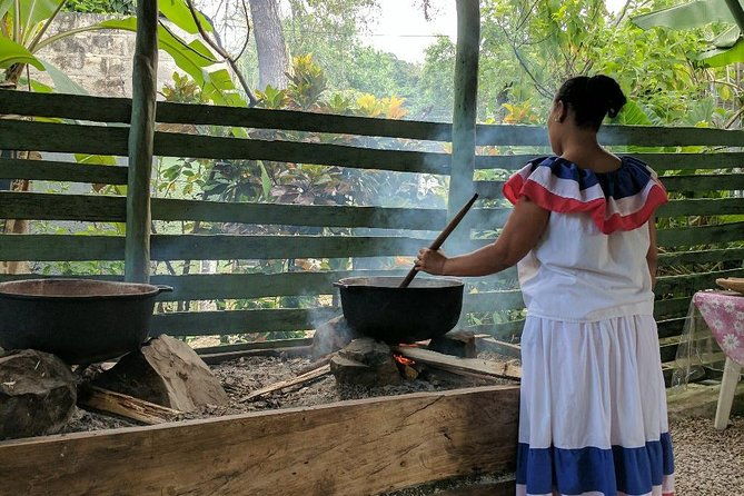 jungle-buggies-and-monkeyland-from-punta-cana