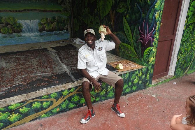 jungle-buggies-and-monkeyland-from-punta-cana