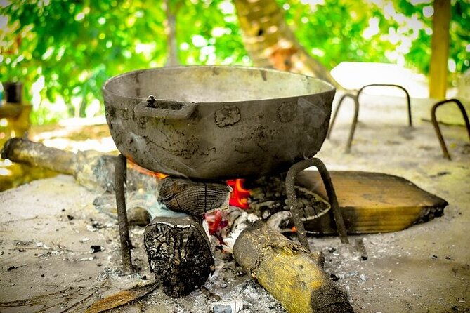 jungle-buggies-zilplining-horseback-ride-countryside-macao-beach