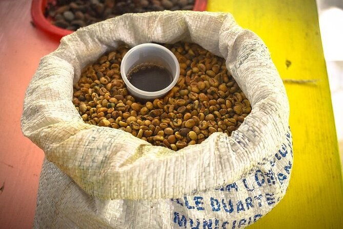 jungle-buggies-zilplining-horseback-ride-countryside-macao-beach