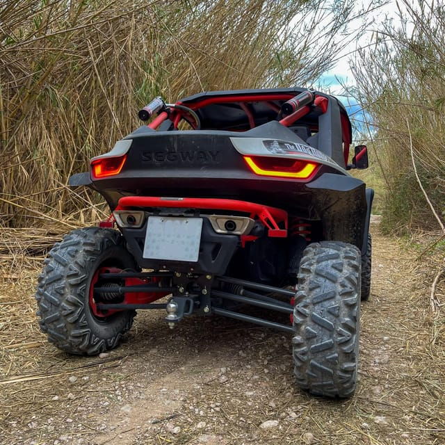 jungle-buggy-adventure