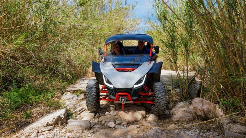 jungle-buggy-adventure