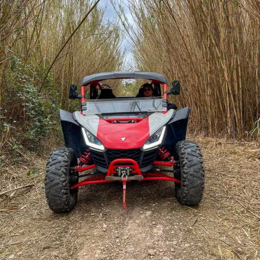jungle-buggy-adventure