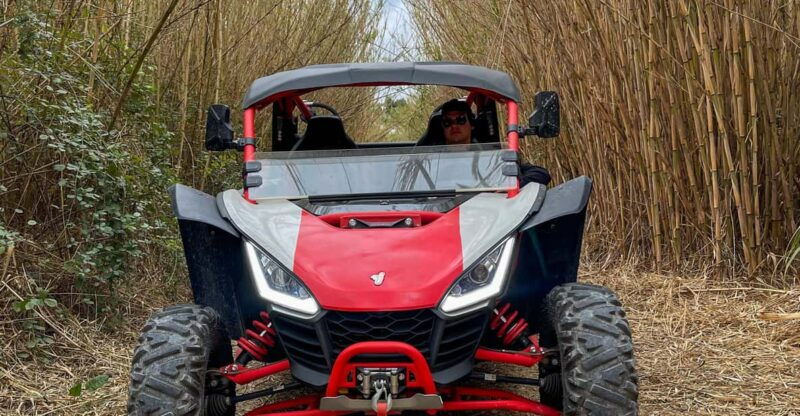 jungle-buggy-adventure