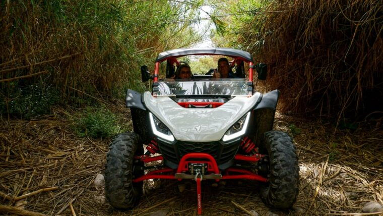 jungle-buggy-adventure
