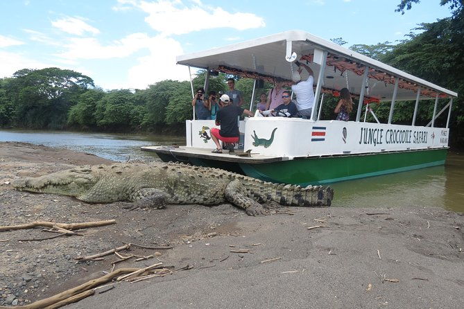 jungle-crocodile-safari-and-bird-watching-tour