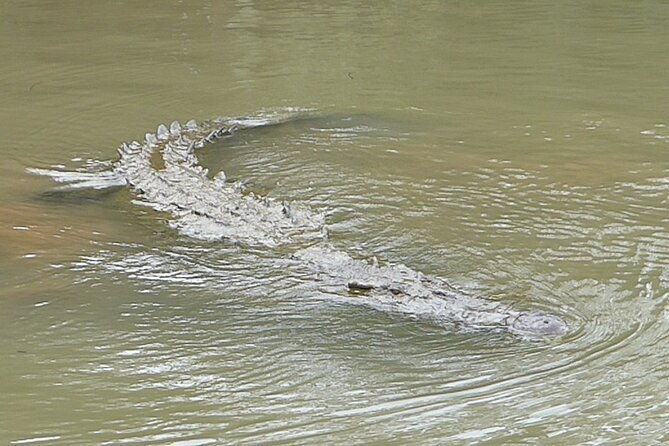 jungle-crocodile-safari-and-bird-watching-tour