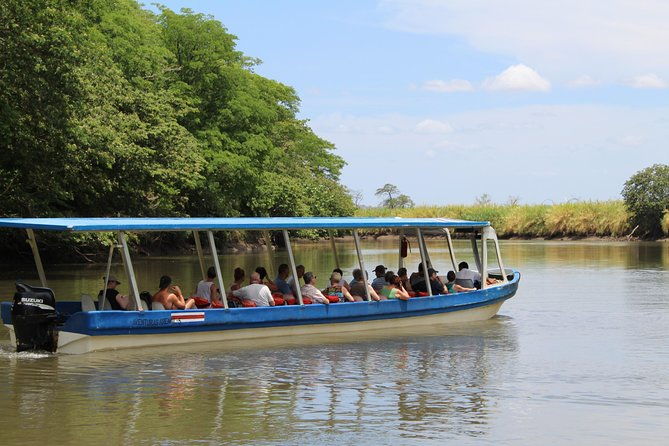 jungle-cruise-at-palo-verde-national-park