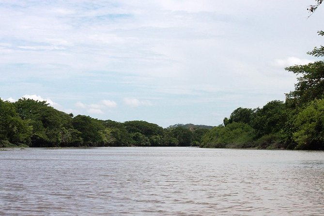 jungle-cruise-at-palo-verde-national-park