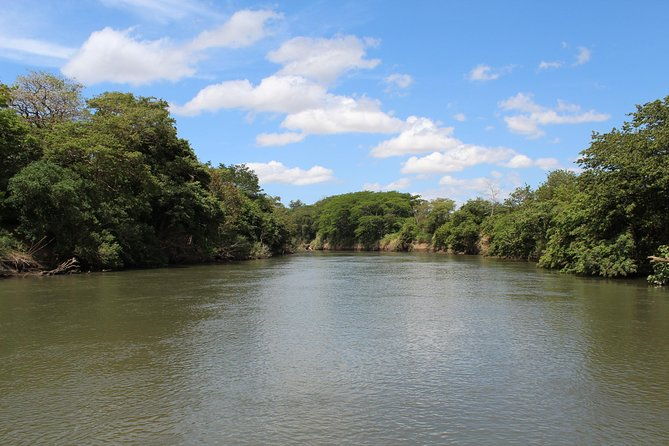 jungle-cruise-at-palo-verde-national-park