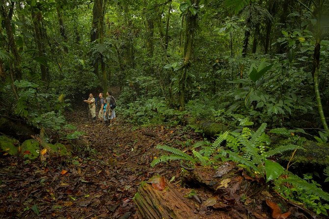 jungle-expedition-through-the-childrens-eternal-rainforest