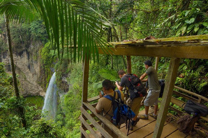 jungle-expedition-through-the-childrens-eternal-rainforest