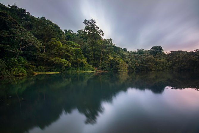 jungle-expedition-through-the-childrens-eternal-rainforest