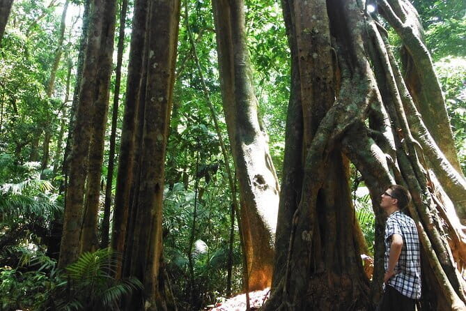 Jungle Experience: 1 Day Trek in Nam Ha NPA - An In-Depth Look at the Itinerary