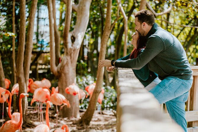 jungle-island-general-admission