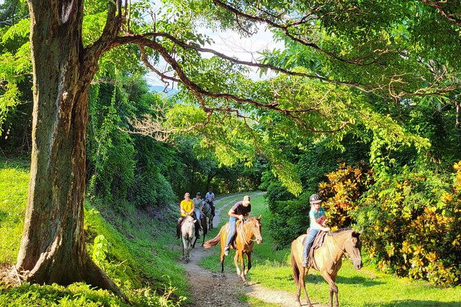 jungle-moutain-and-beach-tour-horseback-riding-2h-1-2