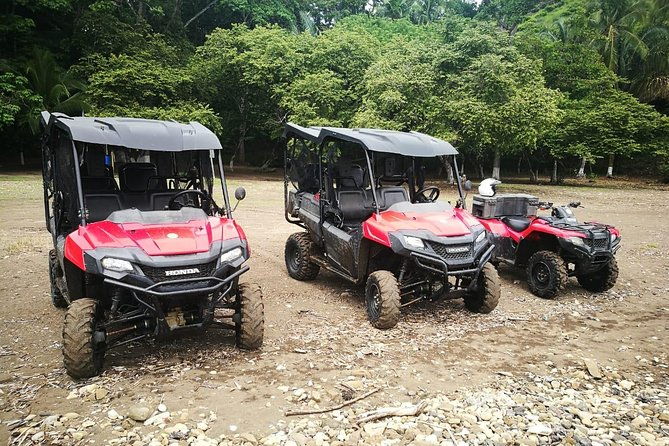 jungle-river-buggy-crocodile-tour-puntarenas-shore-excursion