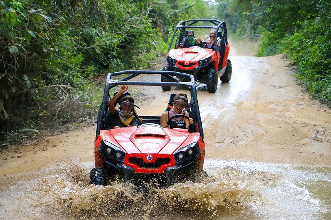 jungle-river-buggy-crocodile-tour-puntarenas-shore-excursion