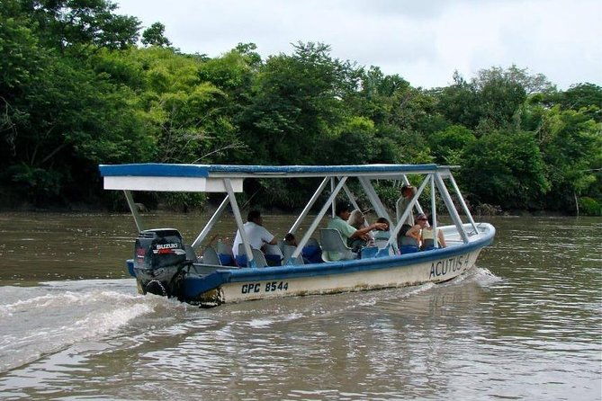 jungle-river-cruise-and-coffee-tour