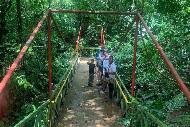 jungle-river-sloth-sanctuary-and-poisonous-frogs