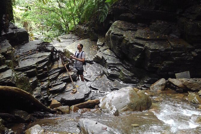 jungle-river-trek-private-tour-in-yanbaru-north-okinawa