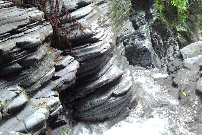 jungle-river-trek-private-tour-in-yanbaru-north-okinawa