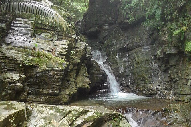 jungle-river-trek-private-tour-in-yanbaru-north-okinawa
