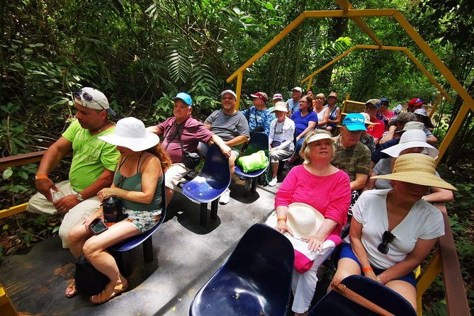 jungle-river-wagon-expedition-puntarenas-shore-excursions