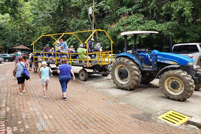 jungle-river-wagon-expedition-puntarenas-shore-excursions