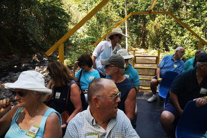 jungle-river-wagon-expedition-puntarenas-shore-excursions