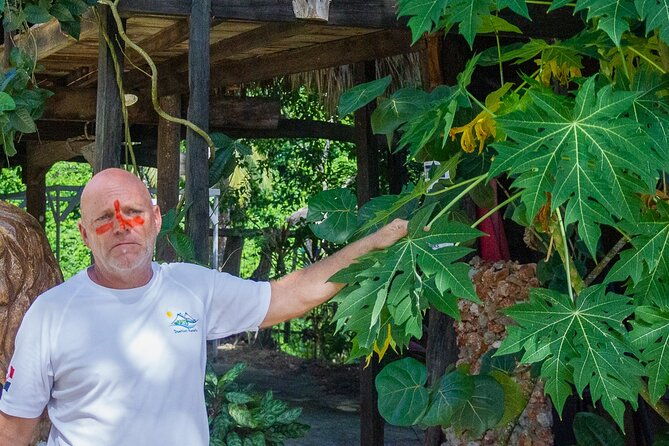 jungle-safari-excursion