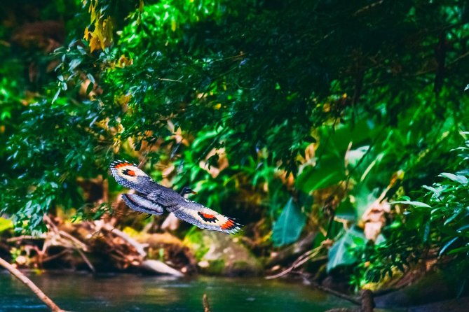 jungle-safari-float-on-sarapiqui-river-from-la-fortuna