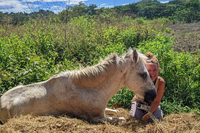 jungle-safari-in-playa-samara