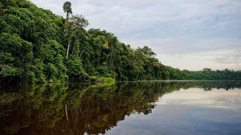 jungle-tambopata-2d-monkey-island-search-for-alligators
