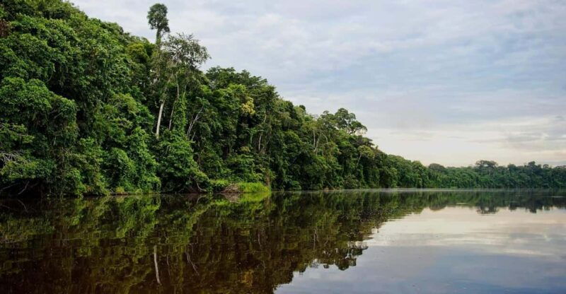 jungle-tambopata-2d-monkey-island-search-for-alligators