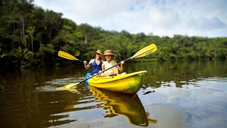 jungle-tambopata-2d-monkey-island-search-for-alligators