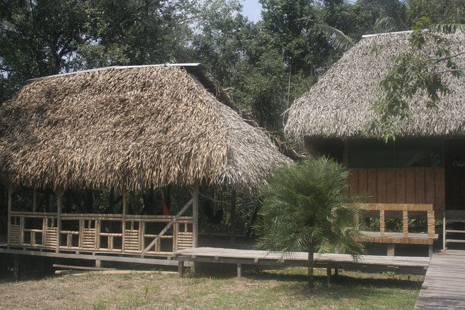 jungle-tours-indichuris-chocolate-factory-canoe